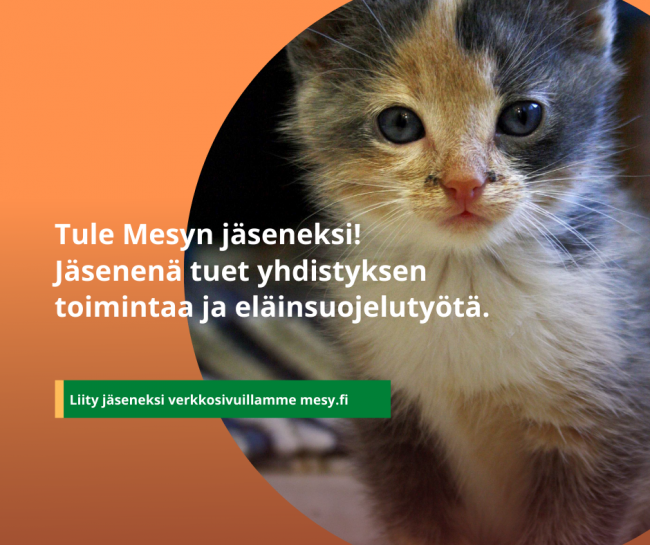 Jaseneksi Liity Jäseneksi. Kuva Emmi Thure.