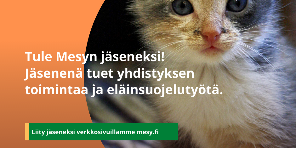 Jaseneksi Liity Jäseneksi. Kuva Emmi Thure.